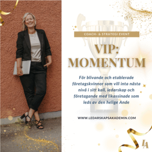 VIP-MOMENTUM-eventet (EARLY BIRD)