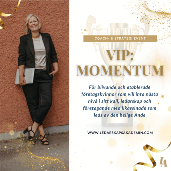 VIP-MOMENTUM-eventet (EARLY BIRD)